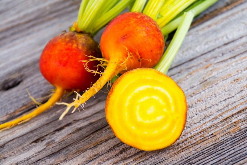Gold Beets (OS)
