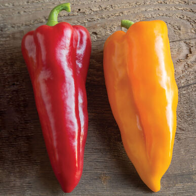 Italian Frying Peppers (OS)