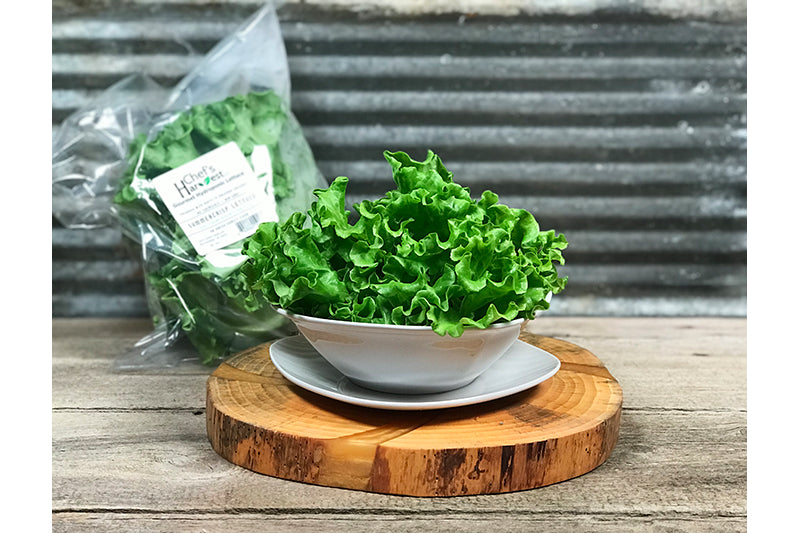 Chef's Harvest Summer Crisp Lettuce