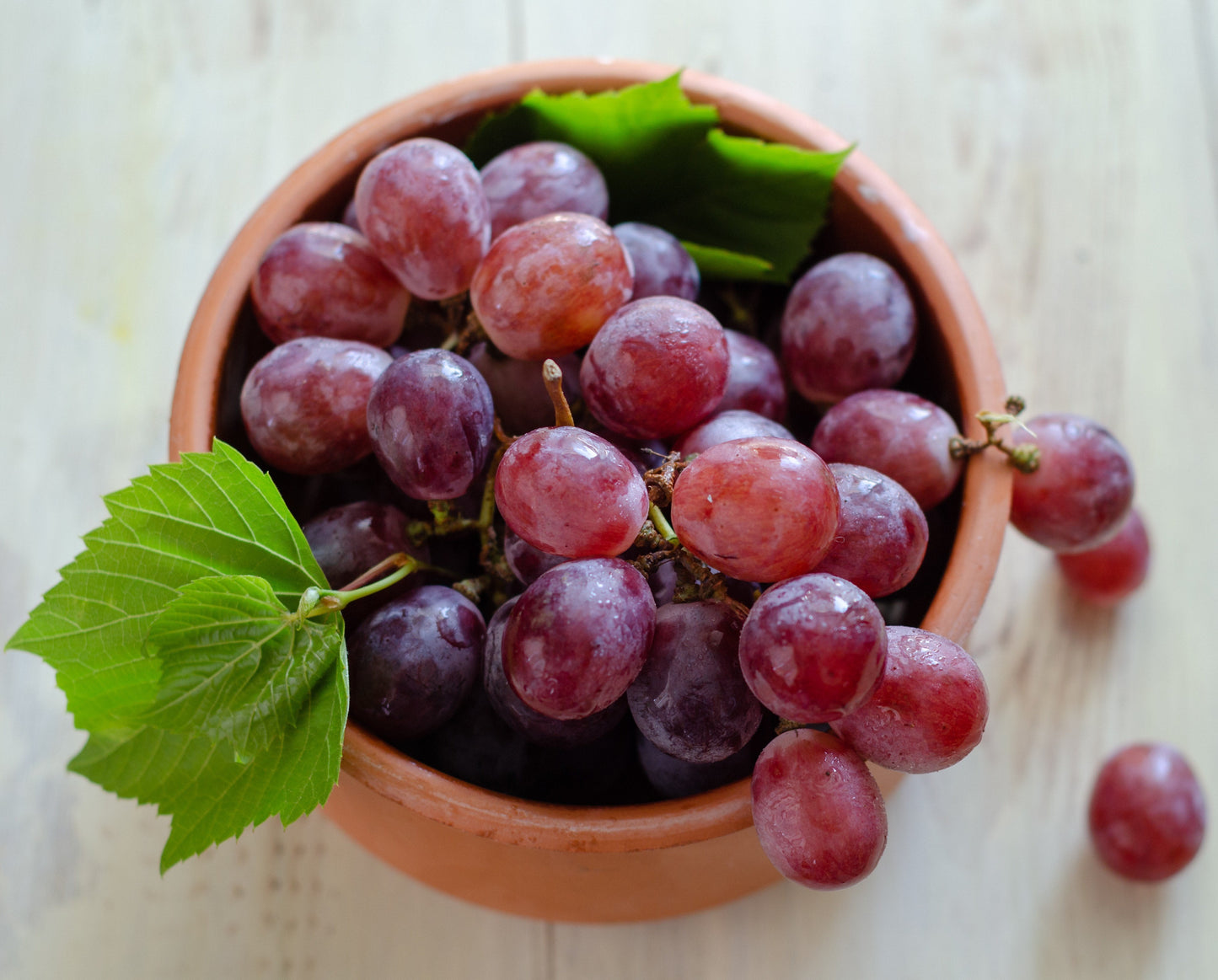 Chef's Harvest Table Grapes