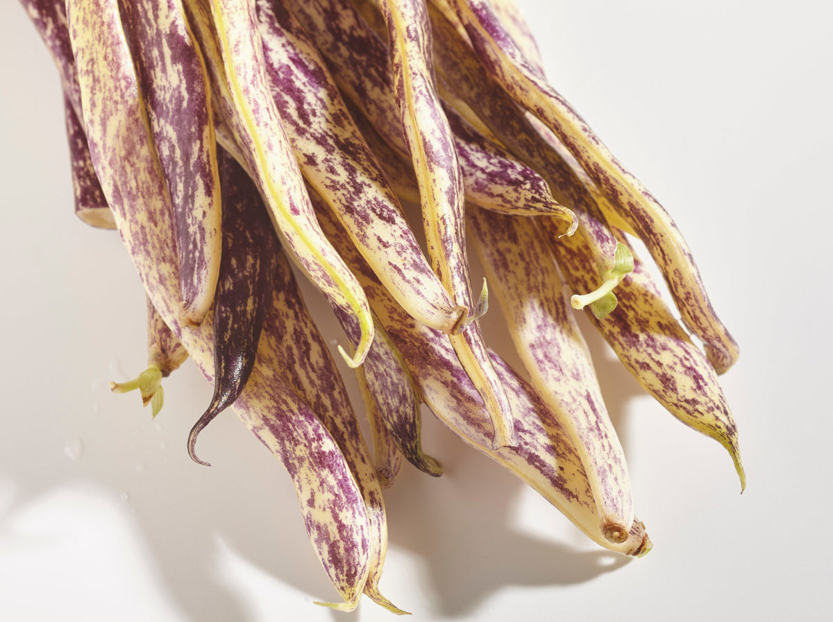 Dragon Tongue Beans