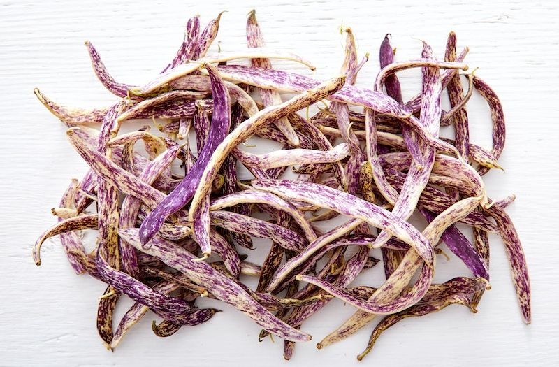 Dragon Tongue Beans