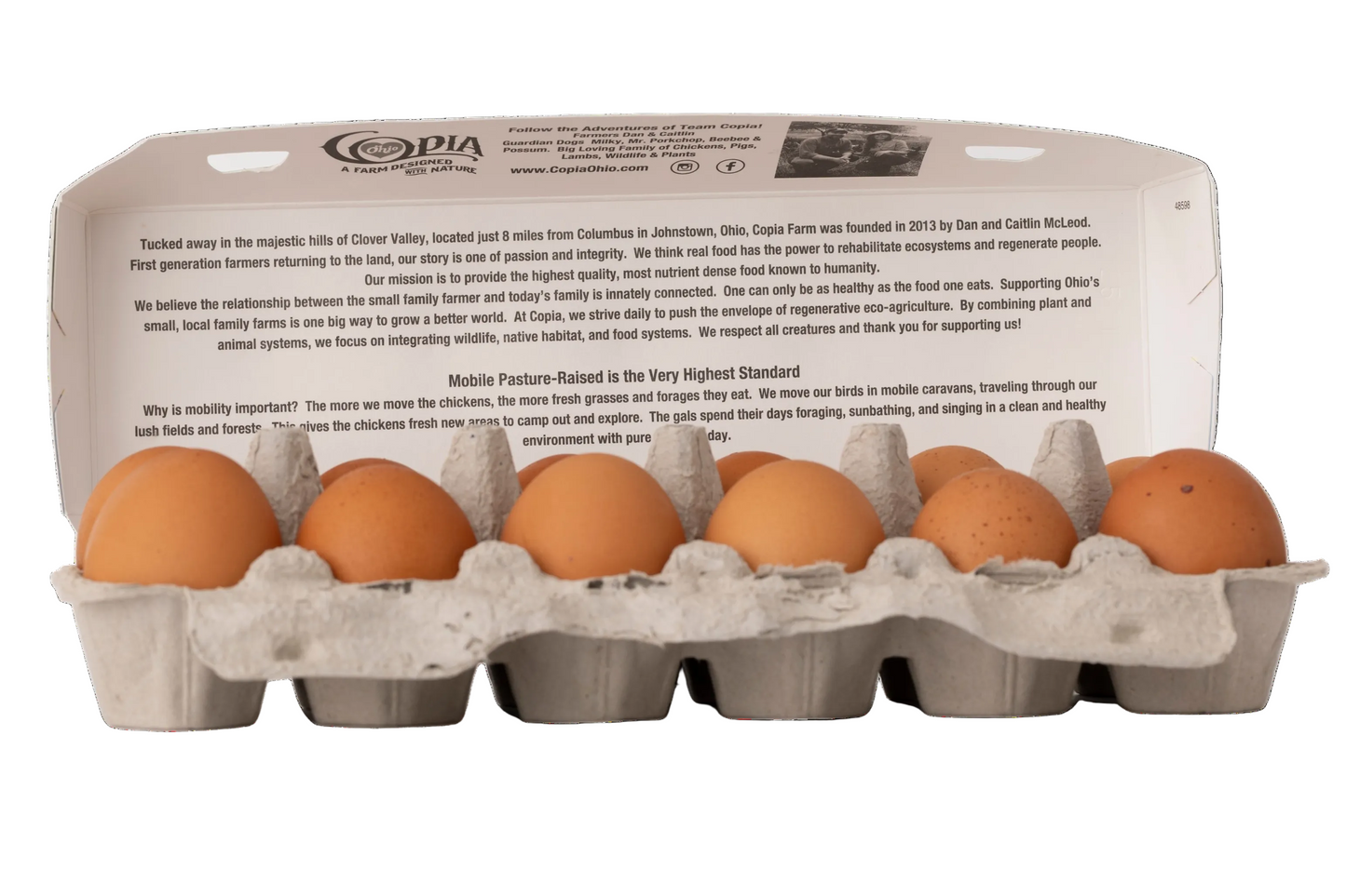 Copia Farm Non-GMO Eggs