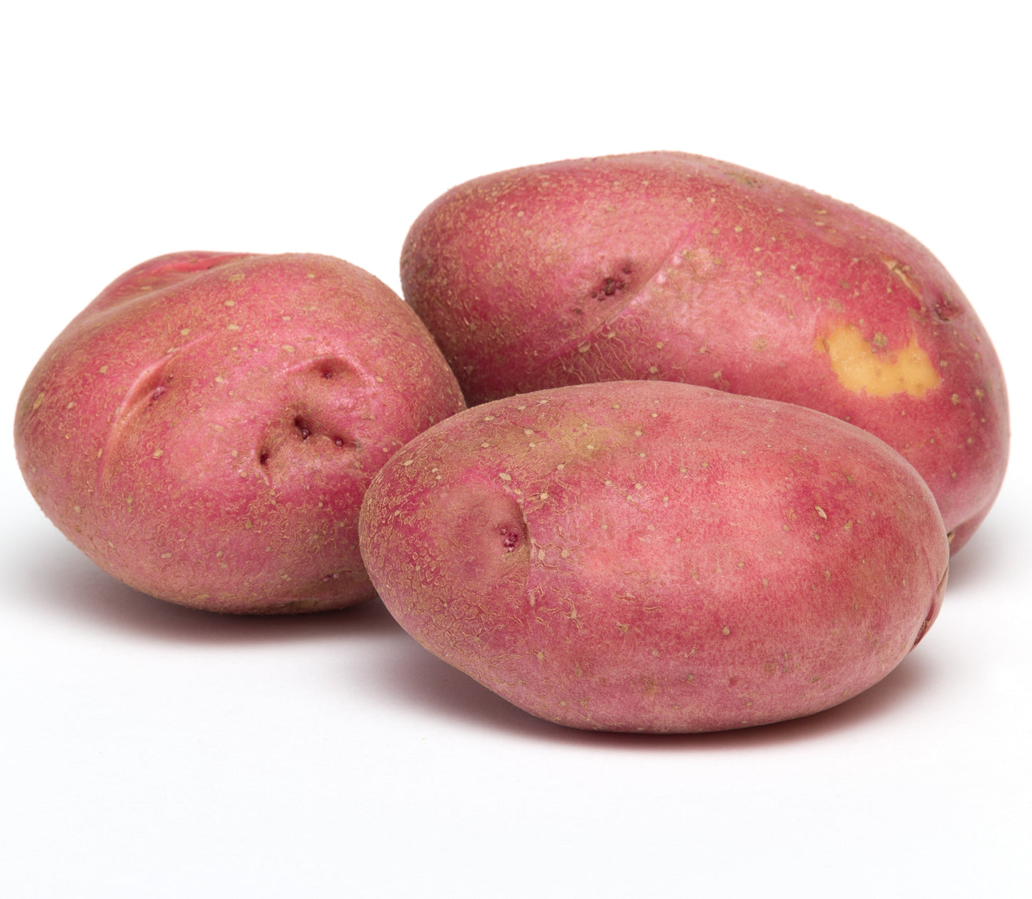 Pontiac Red Potatoes