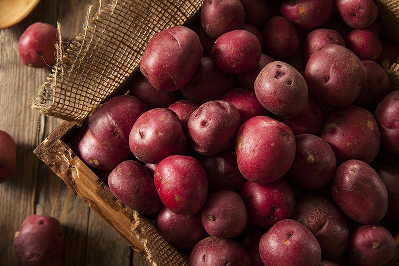 Pontiac Red Potatoes
