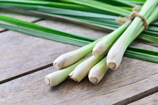 Herb Lemongrass