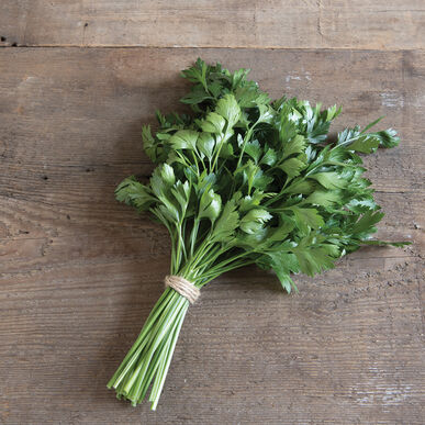 Herb Italian Parsley