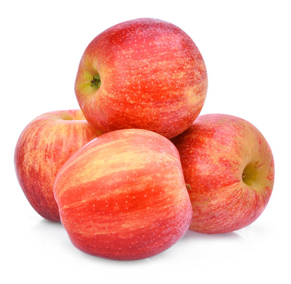 Gala Apple