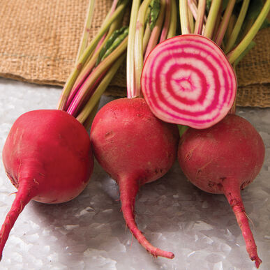 Chioggia Beets (OS)
