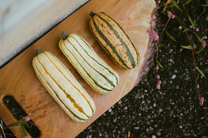 Delicata Squash