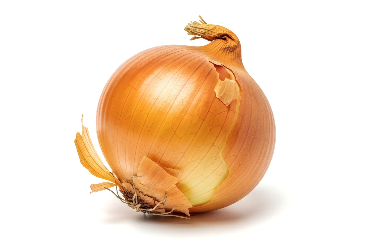 Yellow Onions (OS) (Case)