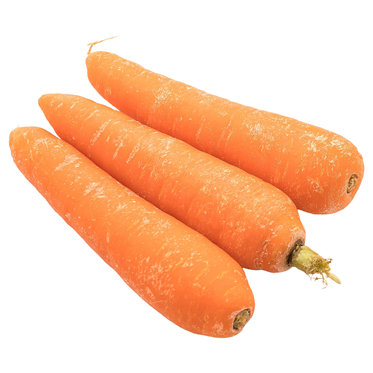 Orange Carrots (OS) (Case)