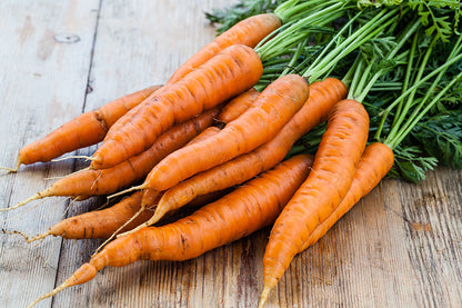 Orange Carrots (OS) (Case)