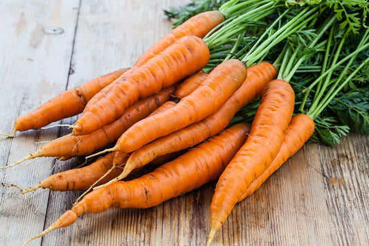 Orange Carrots (OS) (Case)