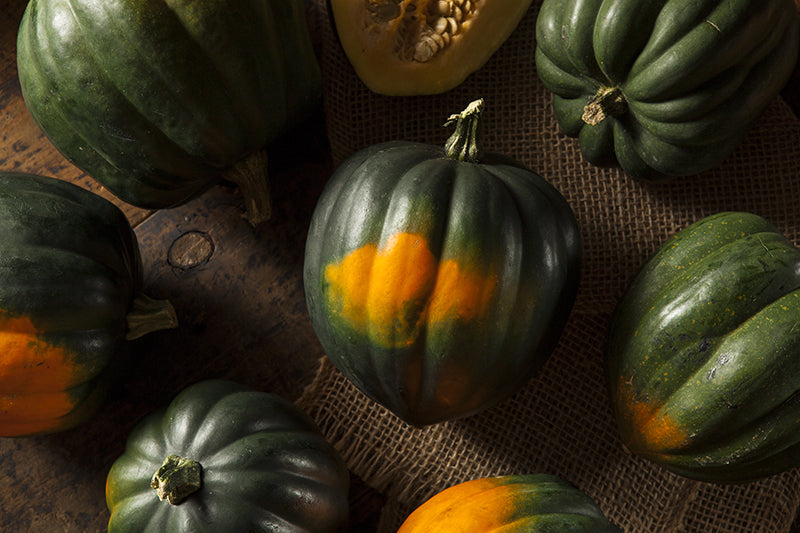 Acorn Squash