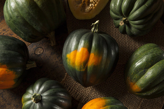 Acorn Squash