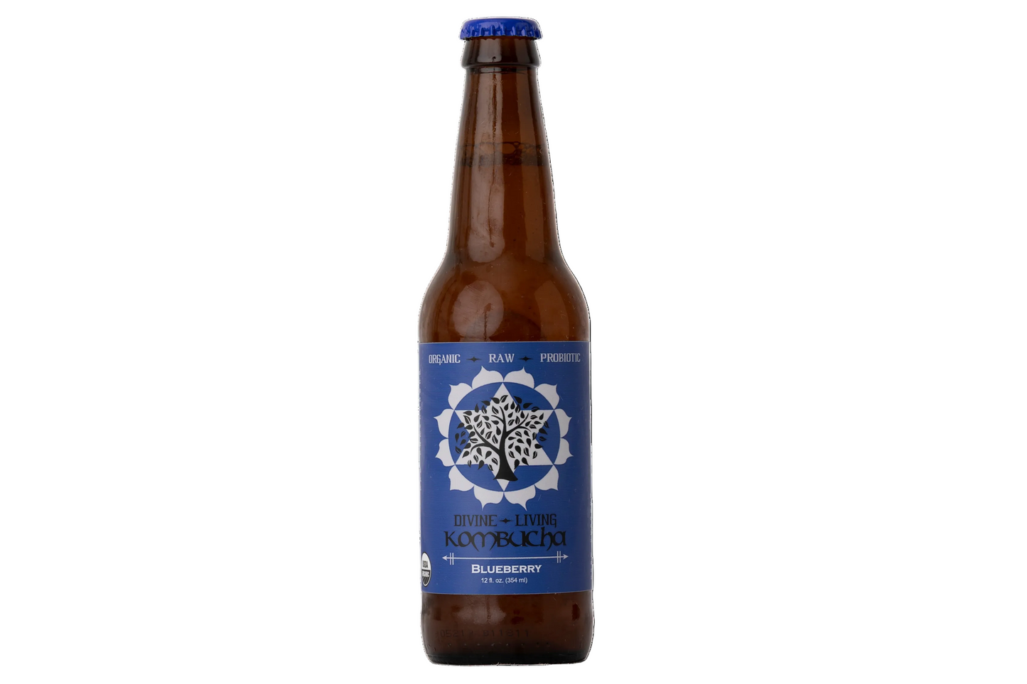 Divine Living Kombucha Blueberry