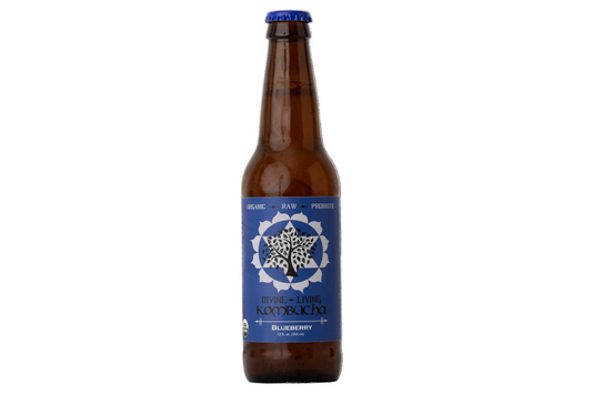 Divine Living Kombucha Blueberry