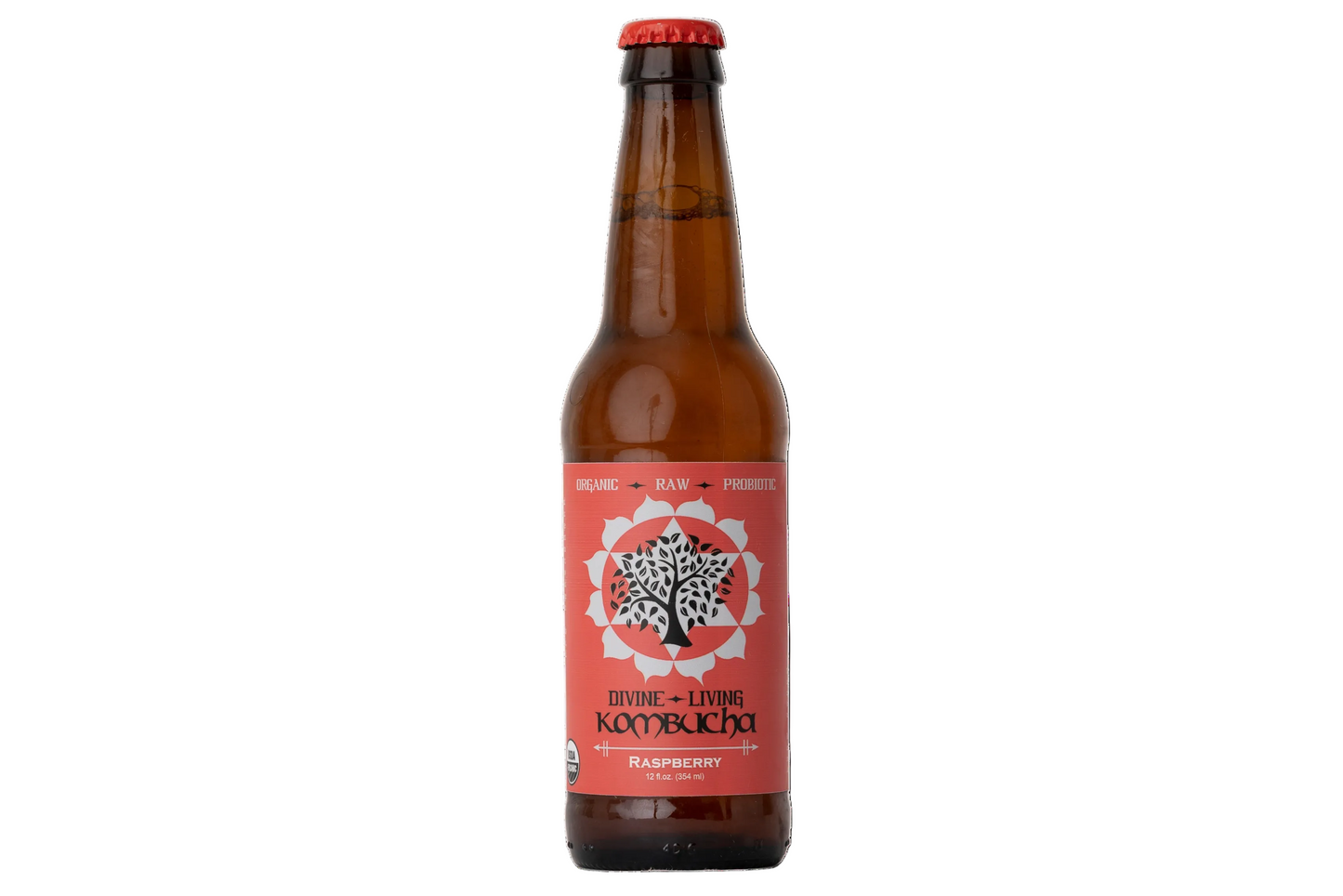 Divine Living Kombucha Raspberry