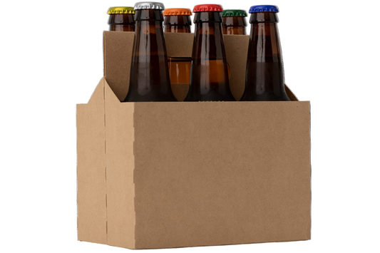 Divine Living Kombucha 6 Pack