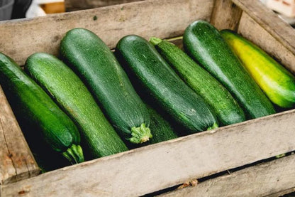 Zucchini Squash