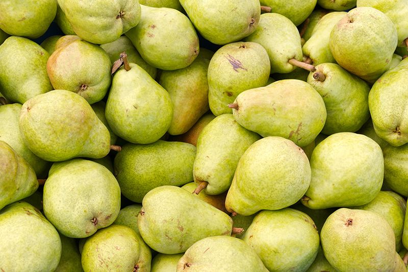 Bartlett Pear