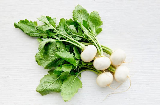 Hakurei Turnip (OS)