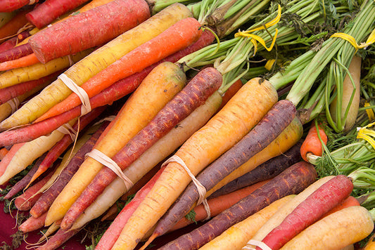 Rainbow Carrots (OS)