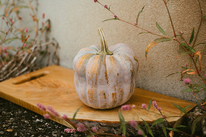 Koginut Squash (OS)