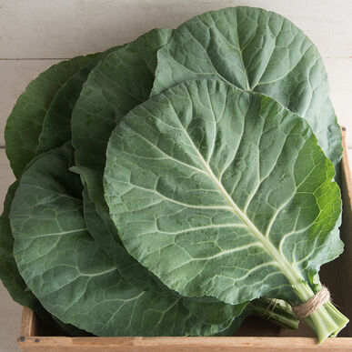 Collard Greens (OS)