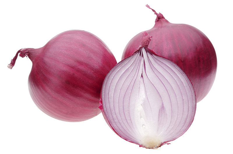 Red Candy Onions (OS)