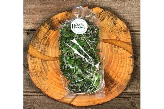 Chef's Harvest Micros Spicy Mix
