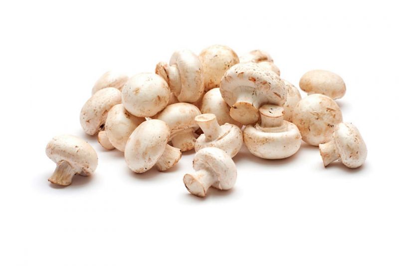 Pennsylvania White Button Mushrooms Organic