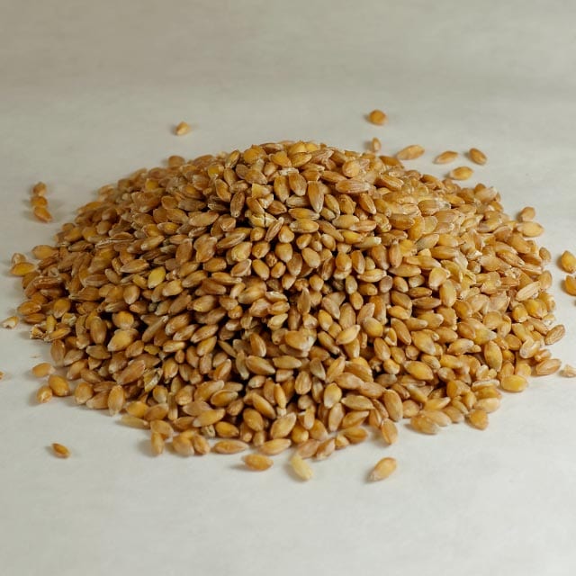 Stutzman Farms Organic Einkorn Berries