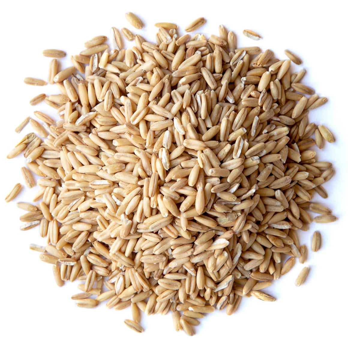 Stutzman Farms Organic Hulled Oat Berry