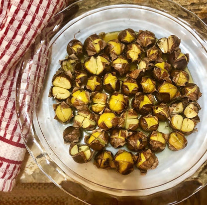 Majestic Canopy Chestnuts Dunstan