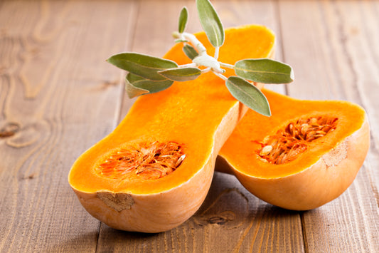 Butternut Squash (OS)