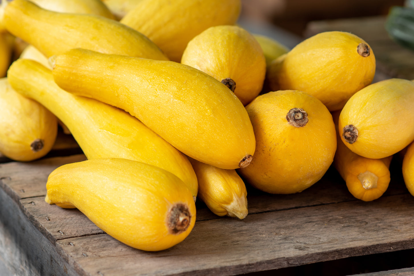 Yellow Straightneck Squash