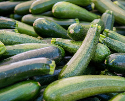 Zucchini Squash